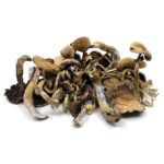 Buy Golden Teacher Online